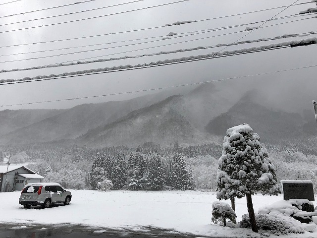 久しぶりの積雪です❄