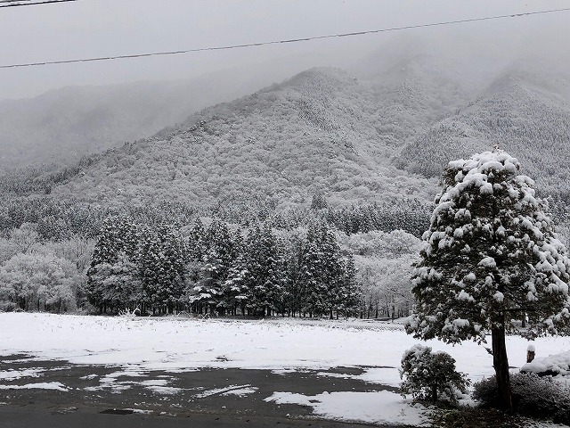 ❅初積雪！！❅