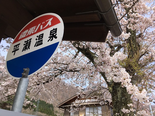 白川村平瀬の春♪