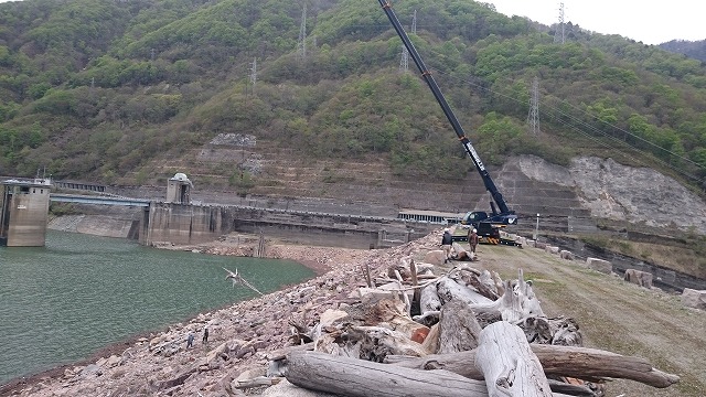 流木の引き上げ作業