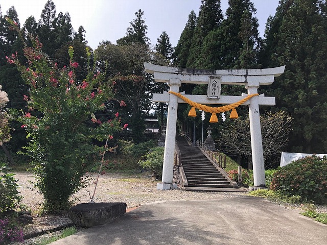 今秋は静かなお祭りでした・・🌼